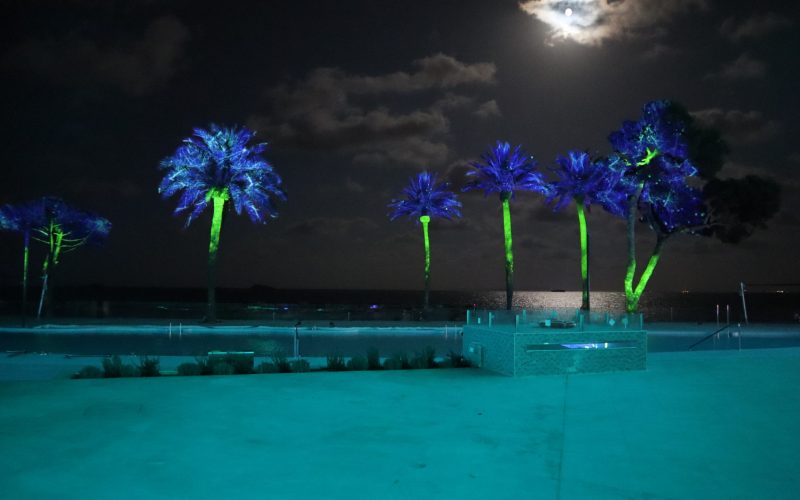 Hotel Ibiza Twiins mapping sobre palmeras